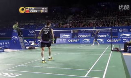 羽毛球视频,精彩瞬间回顾与技巧解析